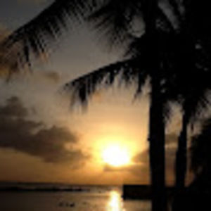 Meet your Posher, Kari